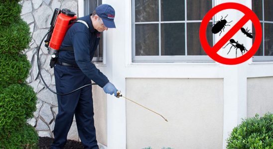 Yerköy Bit İlaçlama böcek ilaçlama ve haşere kontrolü — ilaclama-tr.com